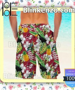 Personalized Arkansas Razorbacks Parrot Floral Tropical Mens Shirt, Swim Trunk a