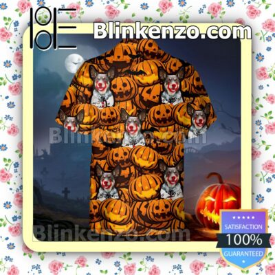 Australian Kelpie Pumpkin Halloween Collar Shirt a