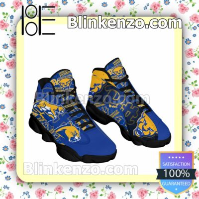 Pittsburgh Panthers Jordan Mens Air 13 Retro Print