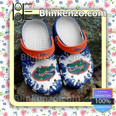 Florida Gators Logo Color Splash Clogs