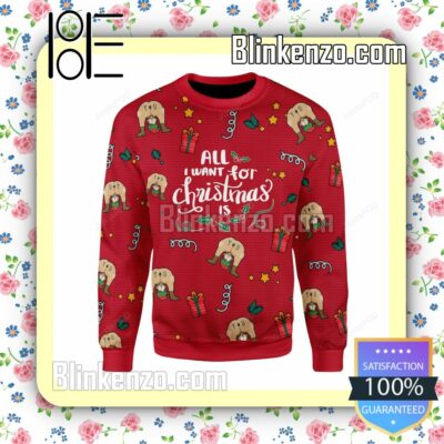 All I Want For Christmas Is You Elf Butt Knitted Christmas Jumper