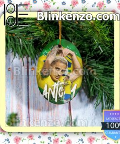 Brazil - Antony Hanging Ornaments