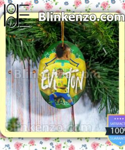 Brazil - Everton Soares Hanging Ornaments