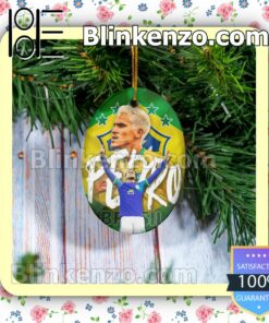 Brazil - Pedro Hanging Ornaments