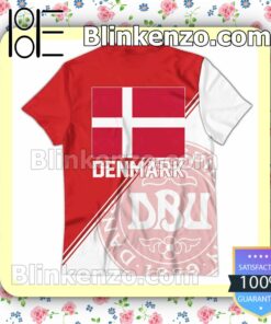 Denmark National FIFA 2022 Hoodie Jacket x
