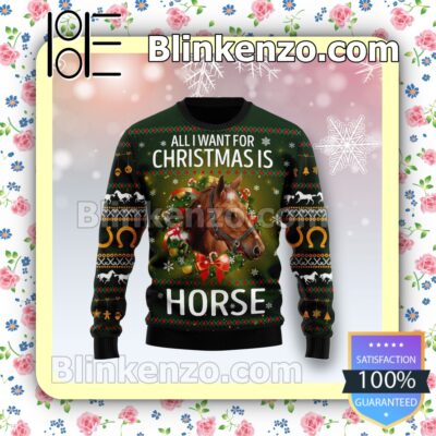 Horse All I Want For Christmas Holiday Christmas Sweatshirts