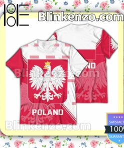 Poland National FIFA 2022 Hoodie Jacket b