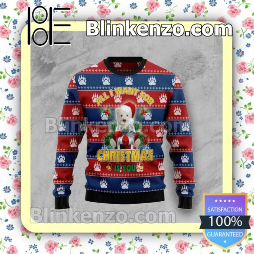 Polar Bear All I Want Christmas Holiday Christmas Sweatshirts