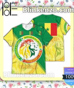 Senegal National FIFA 2022 Hoodie Jacket b