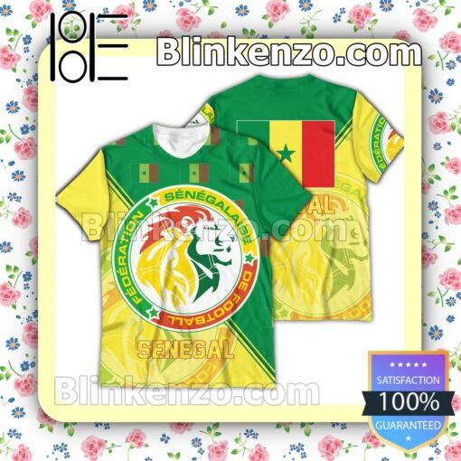 Senegal National FIFA 2022 Hoodie Jacket b