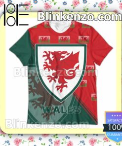 Wales National FIFA 2022 Hoodie Jacket c