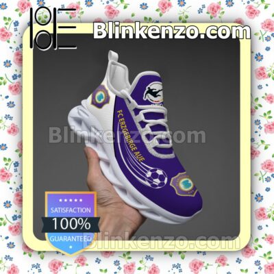 Erzgebirge Aue Logo Sports Shoes