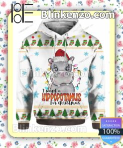 I Want A Hippopotamus For Christmas Pullover Hoodie Jacket a