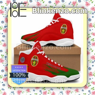 Ternana Calcio Logo Sport Air Jordan Retro Sneakers