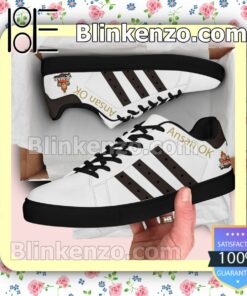 Ansan OK Volleyball Mens Shoes a
