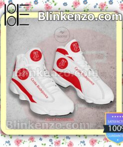 Ceske Budejovice Volleyball Nike Running Sneakers