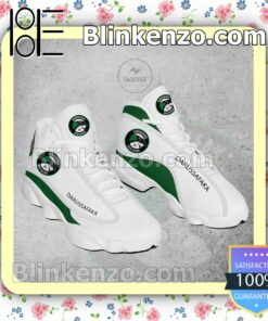Darussafaka Club Nike Running Sneakers