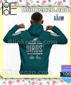 Enjoy The Birds' Successes Philadelphia Eagles Pullover Hoodie Jacket b