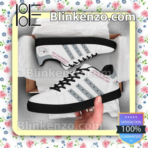 Chester County Intermediate Unit Logo Low Top Shoes a