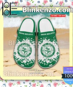 New England College of Business and Finance Logo Crocs Sandals a