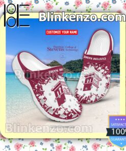Thaddeus Stevens College of Technology Personalized Classic Clogs