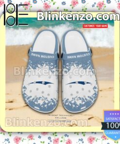 Trident Technical College Personalized Crocs Sandals a