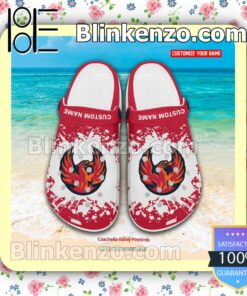 Coachella Valley Firebirds Crocs Sandals Slippers a