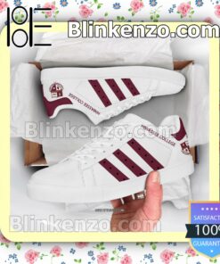 Hiwassee College Stan Smith Shoes